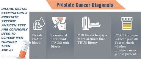 Methods of cancer diagnosis, therapy, and prognosis: Prostate Cancer Screening