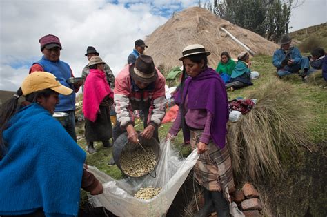 Indigenous meaning, definition, what is indigenous: IUCN Congress boosts support for Indigenous peoples ...