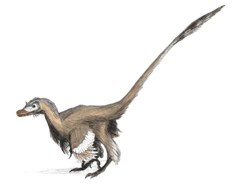 Velociraptor Prehistoric Earth Wiki Fandom