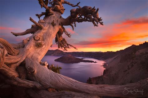 Landscape Photography Workshop At Crater Lake Np 2024 W Zack Schnepf
