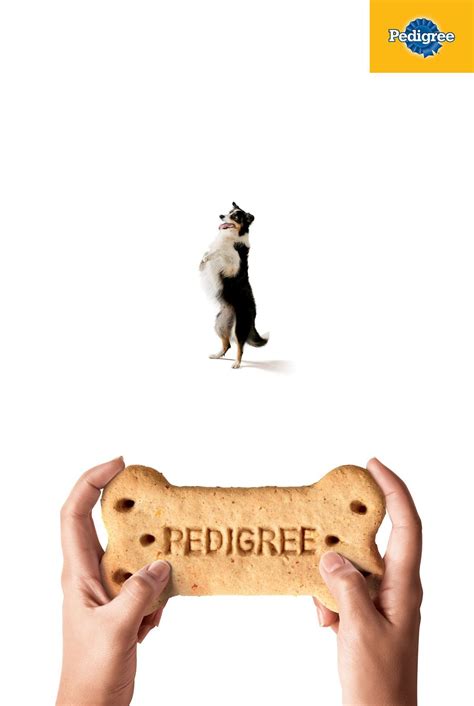 Lürzers Archive Print Ad Of The Week Pedigree Print Ads Pet