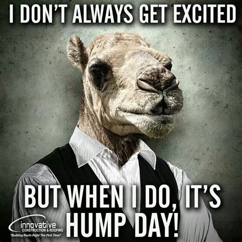 Hump Day Hump Day Humor Hump Day Quotes Hump Day
