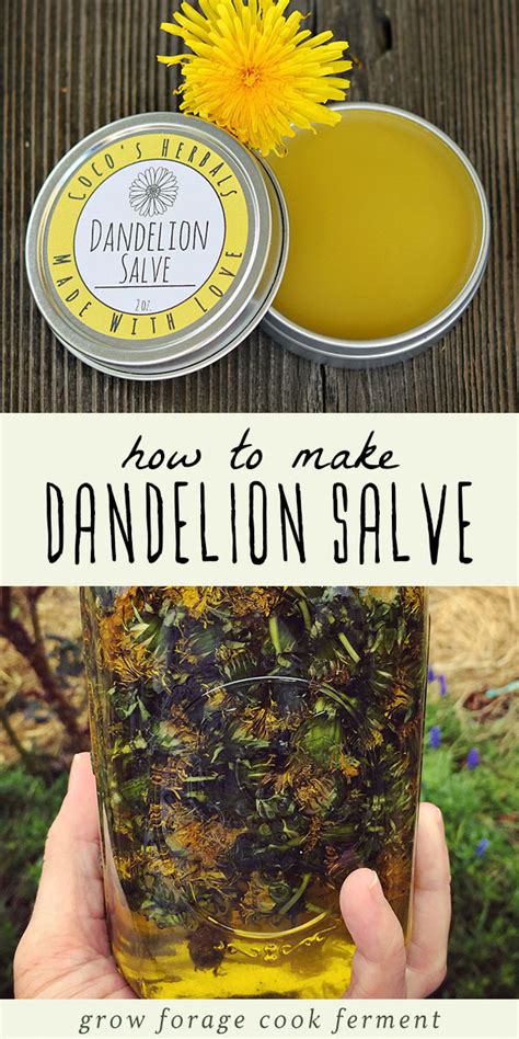 How To Make And Use Dandelion Salve Recipe Herbalism Salve Recipes