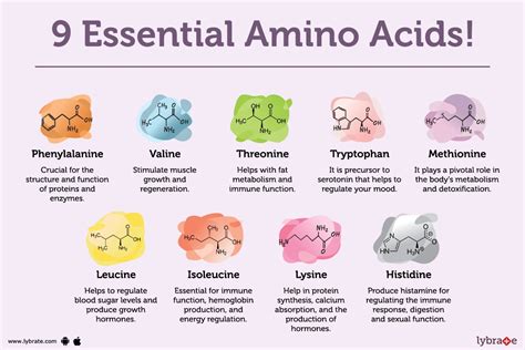 Essential Amino Acids By Dr Parwathy Murthy Lybrate