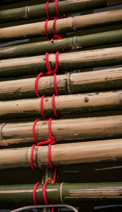 Green Bamboo Tied With Traditional Red Ropes Stock Image Image Of