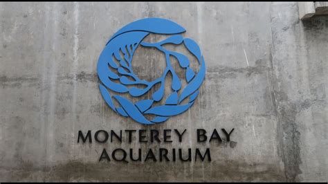 Monterey Bay Aquarium In Monterey California On Cannery Row Youtube