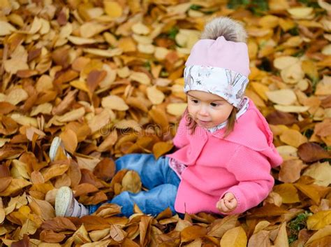 Baby Girl In Autumn Park Sitting In Pile Of Dry Leaves Having Fun