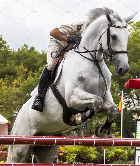 Horse jumping competition | High-Quality Sports Stock Photos ~ Creative ...