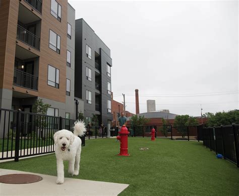 Want To Live In An Apartment With Your Dog Pup Friendly Apartment