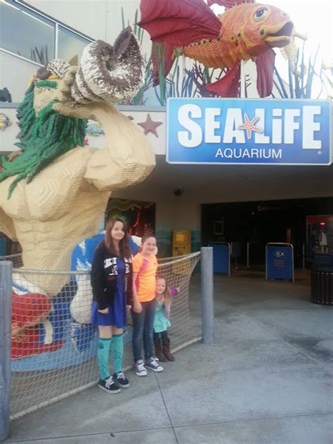 Travel Sealife Aquariums Jellyfish Exhibit Legoland Best Places To