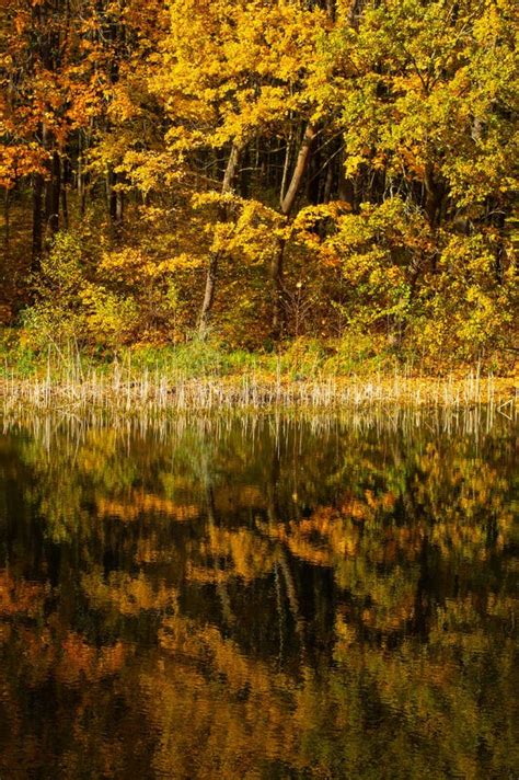 Lake Shore With Autumn Landscape Reflected In The Water Stock Photo