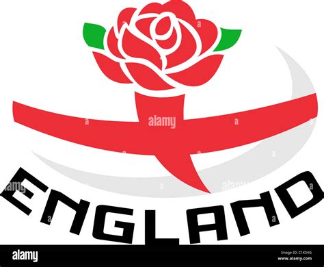 Illustration Of A Red English Rose With Flag Of England Inside Rugby