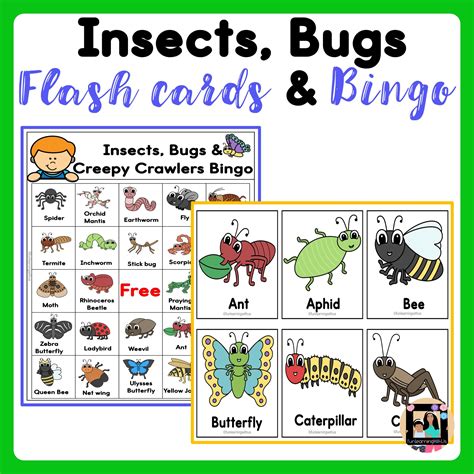 Insects Bugs And Creepy Crawlers Flashcards And Bingo Sheets Made By Teachers