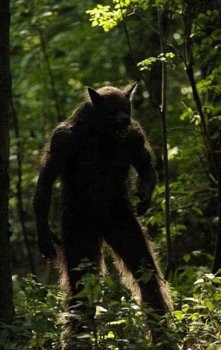 The Dogman Often Referred To As The Michigan Dogman For Its Initial