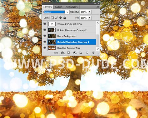 How To Add Bokeh Effect In Photoshop Photoshop Tutorial Psddude