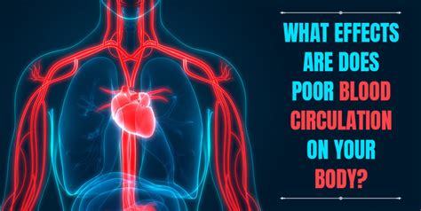 What Effects Are Does Poor Blood Circulation On Your Body