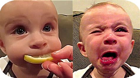 Babies Eating Lemon For The Firsst Time Compilation HHHHHH YouTube