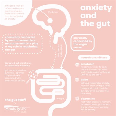 The Brain All About The Gut Brain Axis The Gut Stuff