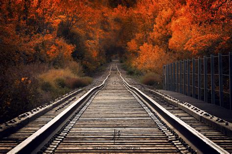 Photograph Fall Tracks By Jake Olson Studios On 500px Scenery Train