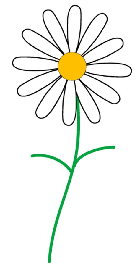 Download High Quality daisy clipart half Transparent PNG Images - Art