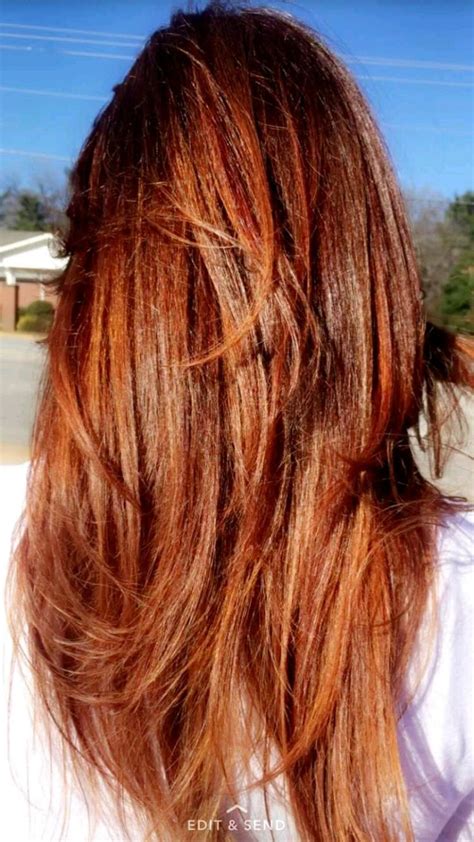 If you have warm brown hair, opt for a golden blonde and gingery auburn. Image result for hair | Hair color auburn, Auburn hair ...