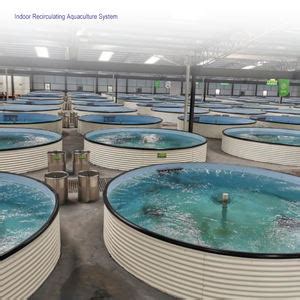 Wholesale Indoor Tilapia Fish Farming With Recreational Features