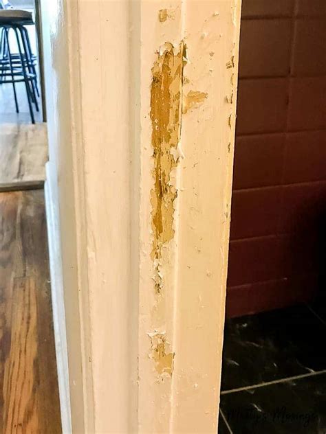 Most people use the terms door jamb and door frame interchangeably, but there is a difference. How to Repair Pet Damaged Walls: Tips Everyone Can Use