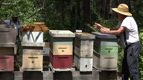 Honey Heist Well Known Georgia Beekeeper Loses Hives To Thieves YouTube