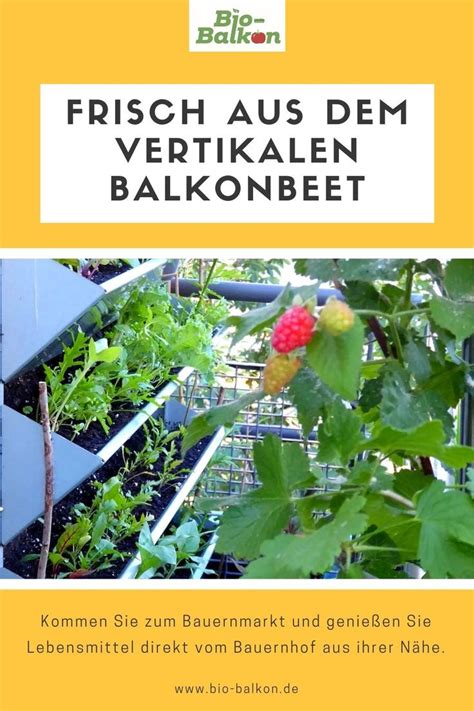 Vor allem in städten oder in wohnungen, die nur eine terrasse oder balkon haben, ist der platz für pflanzen tendenziell knapp bemessen. Balkon Ideen für kleine Balkone: Vertikale Beete! in 2021 ...