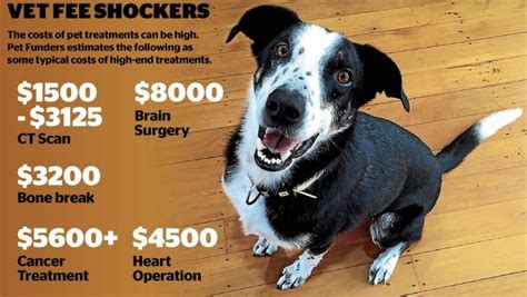 Advice on this forum is. Company helps pet owners cope with giant vet bills | Stuff.co.nz