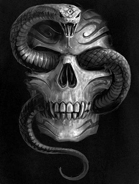 Serpiente By Calavera Skull And Snake Hd Phone Wallpaper Pxfuel