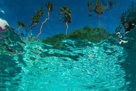 Underwater View From A Pool Del Colaborador De Stocksy Rzcreative
