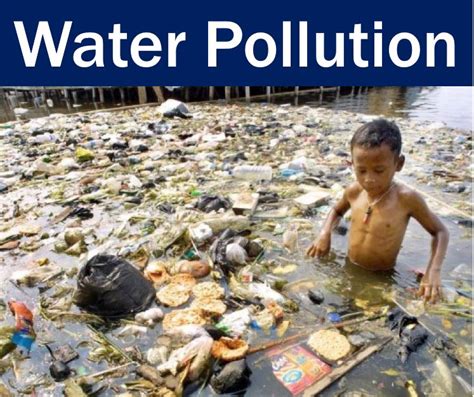 Check spelling or type a new query. Water pollution - definition and meaning - Market Business ...