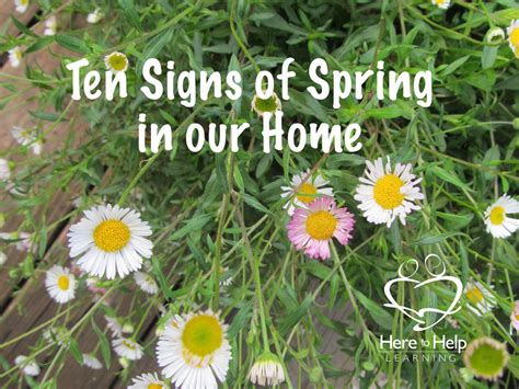 Ten Signs Of Spring In Our Home