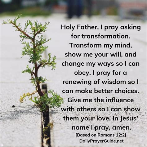 A Prayer Of Transformation Romans 12 2 Daily Prayer Guide