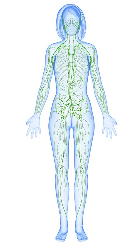Manual Lymphatic Drainage Emp Pain Relief Clinic