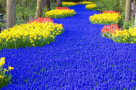 Blume global provides a single interface hiding the complexity of communicating with thousands of carriers, terminals, distribution. Remarkable Gardens | Digital PhotoPix