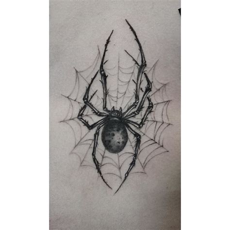 Realistic Spider Web Tattoo Drawing Best Tattoo Ideas