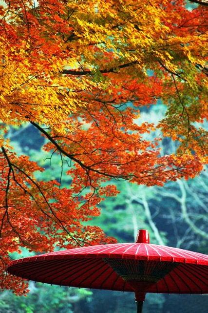 12 Best Places To See Autumn Leaves In Japan Kyuhoshi