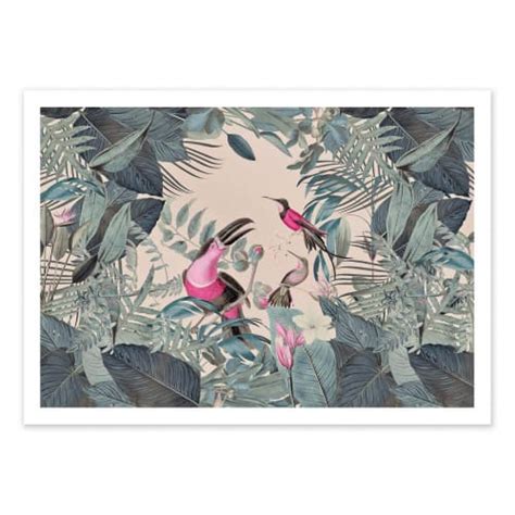 Tropical Jungle Toucan Pink Andrea Haase Affiche D Art 50 X 70 Cm Maisons Du Monde