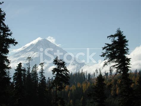 Mount Hood In Fall Stock Photo Royalty Free Freeimages