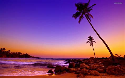 Huge selection of wallpapers for tropical island sunset and get original desktop wallpapers, 3d animated wallpaper, wallery desktop. Tropical Island Sunset Wallpaper (58+ images)