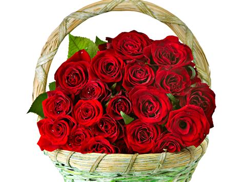 Roses Flowers Bouquet Basket Love Romance Life Happiness Couple