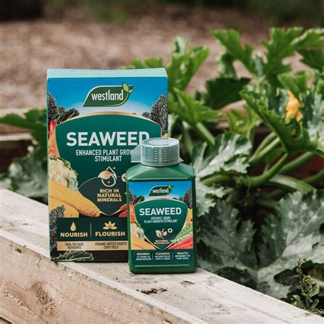 Buy Westland Seaweed Liquid Feed Delivery By Waitrose Garden