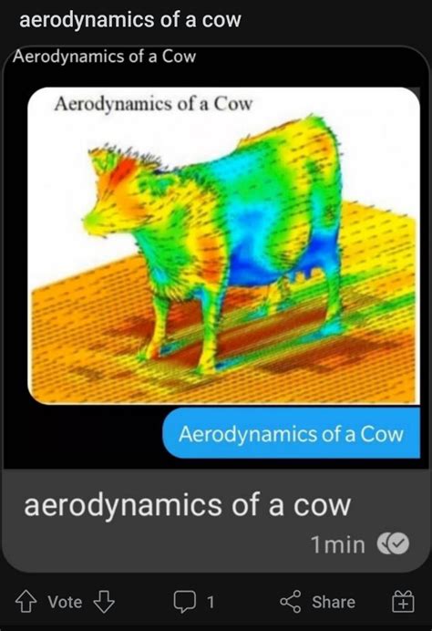Aerodynamics Of A Cow Rmemes