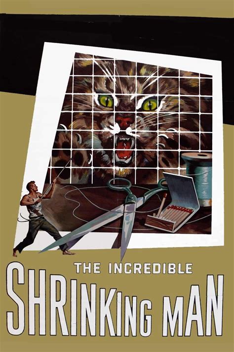 The Incredible Shrinking Man 1957 Movie Posters Movie