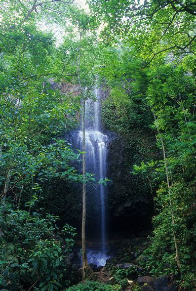 Kalihiwai Waterfall