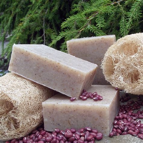 Of course, who wouldn't be into bar soaps? Natural Soap: Loofah Adzuki Exfoliating | Chagrin Valley Soap