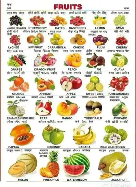 Fruits And Vegetables List Name Of Vegetables Vegetables Photography