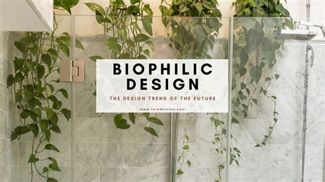 What Is Biophilic Interior Design And Why You Need It In Your Home